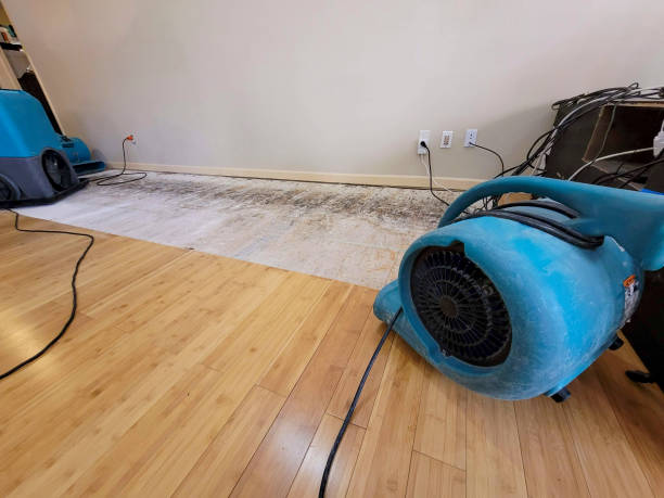 Professional Flood Damage Cleanup technician working in Belfair, WA